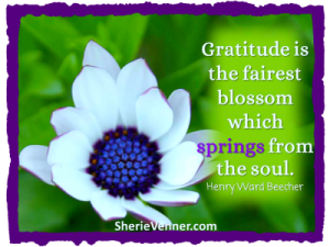 Gratititude is the fairest blossom 2