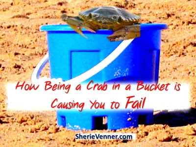 How being a crab in a bucket is causing you to fail