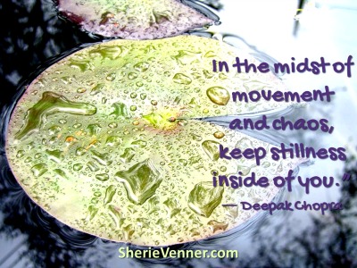 In the midst of movement and chaos keep stillness inside of you